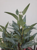 Green eucalyptus faux foliage