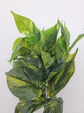 Bunch variegated leaves - faux