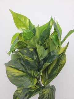 Bunch variegated leaves - faux