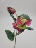 Pink hellebore, faux