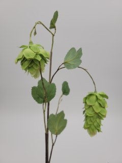 Green hop, faux