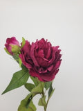 Peony, double full petalled, dark pink, with bud, faux