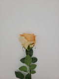 Pale apricot faux rose