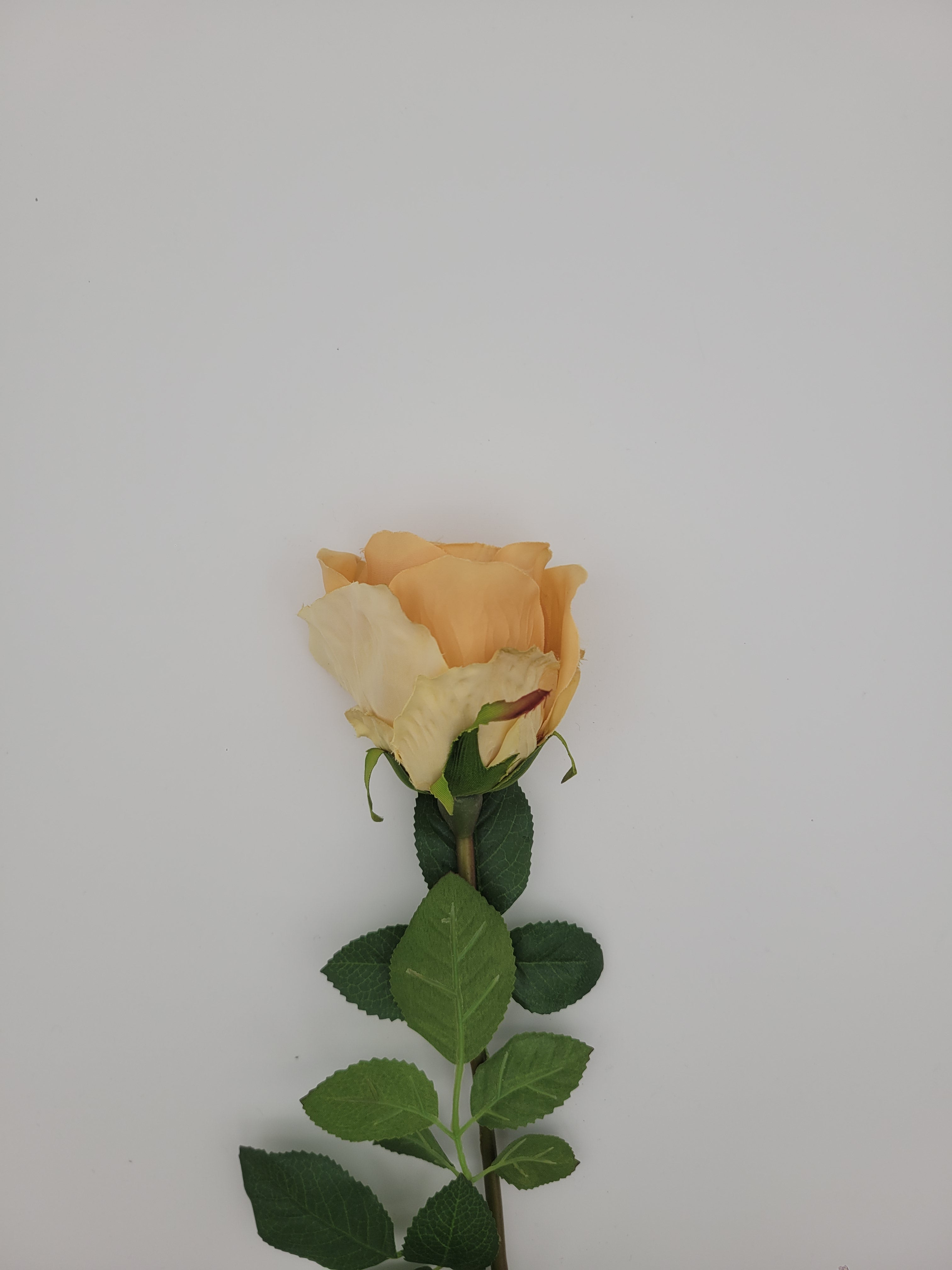 Pale apricot faux rose