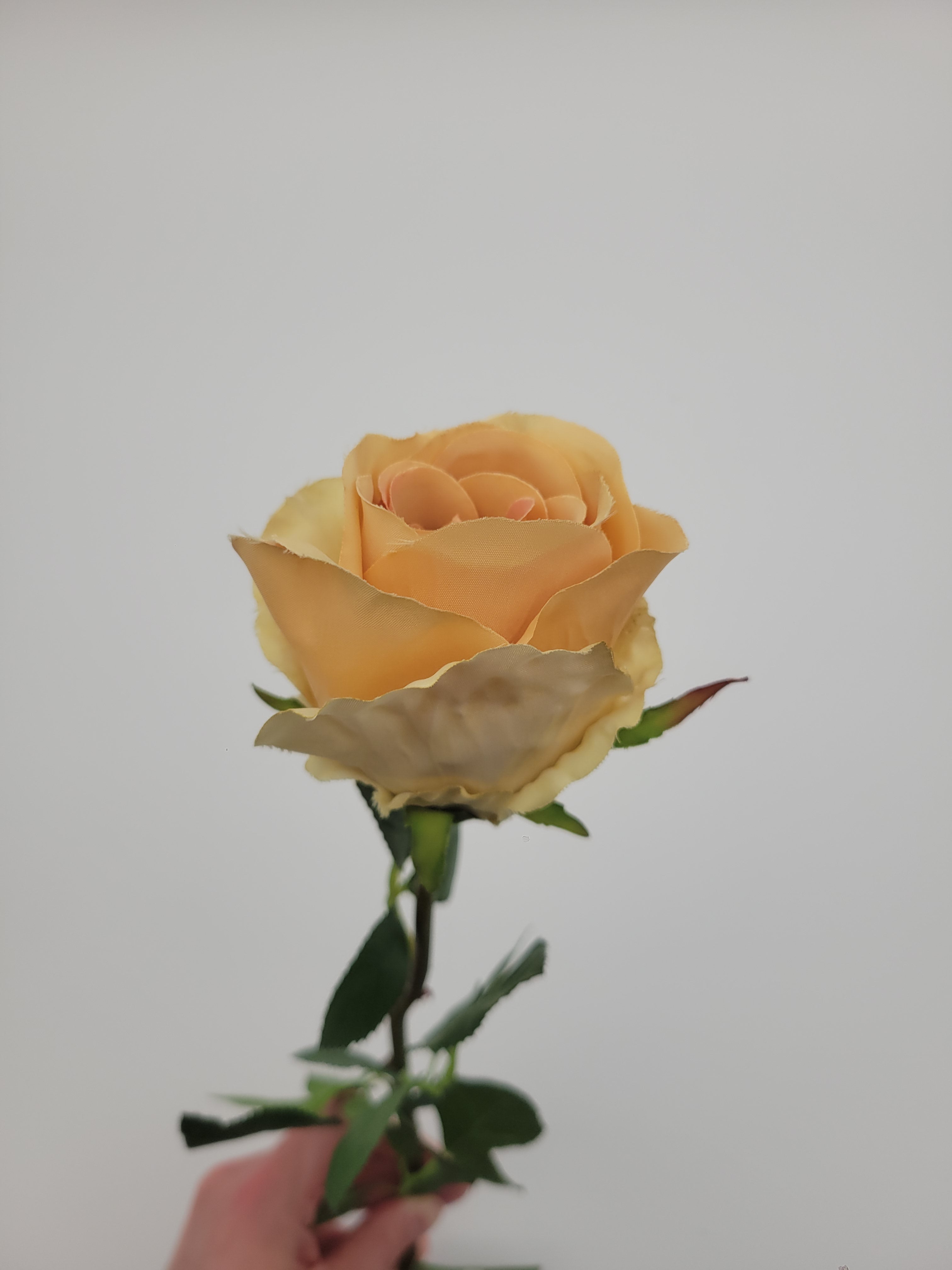 Pale apricot faux rose