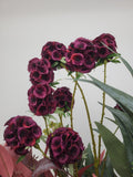 Dark purple faux scabiosa