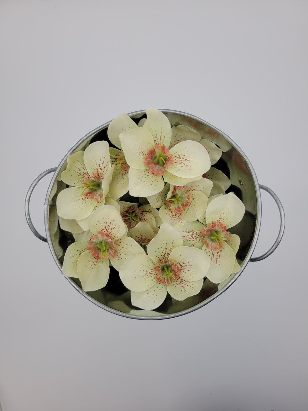 Cream faux hellebore