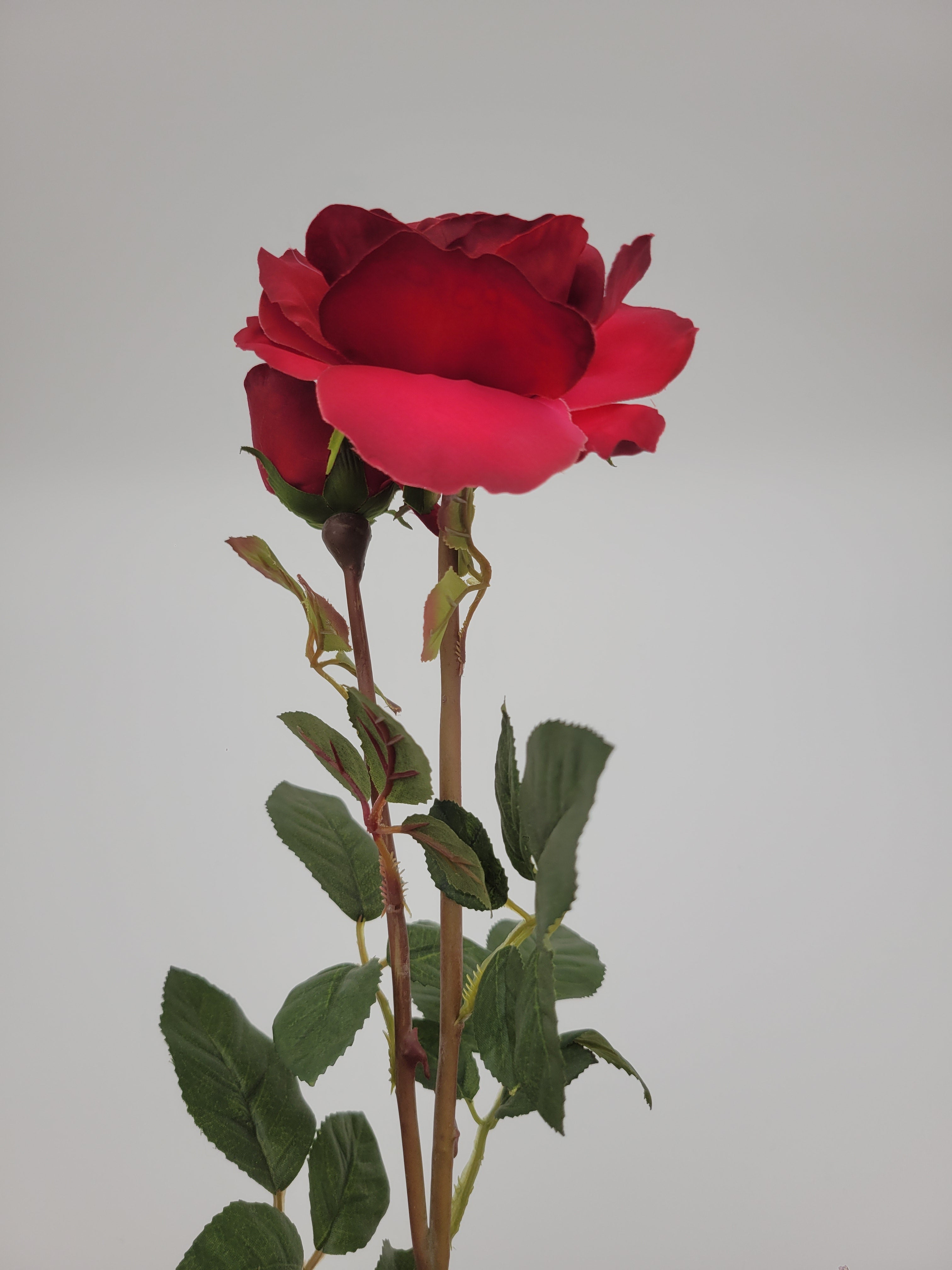 Deep red rose, with bud, faux