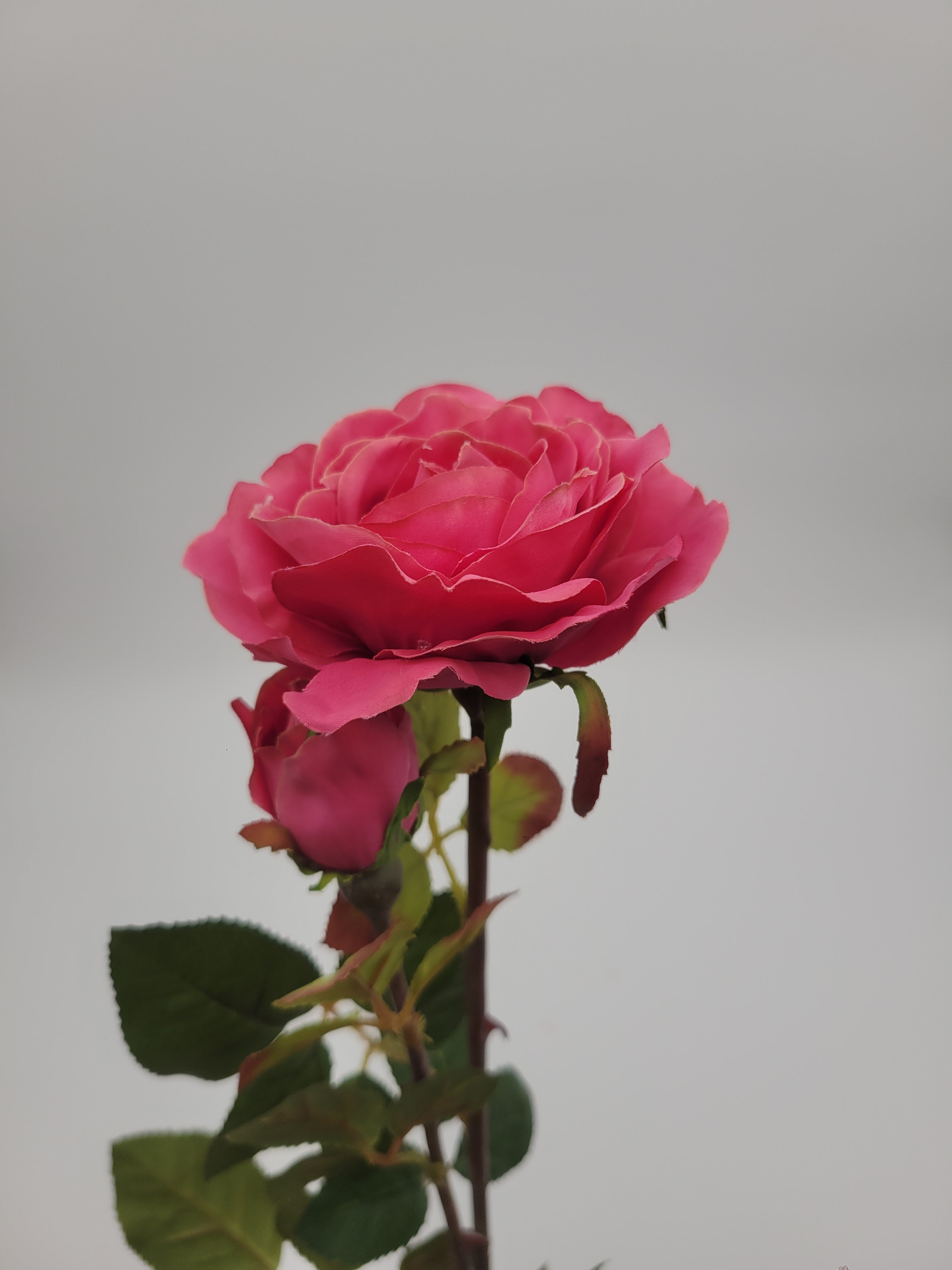 Deep pink rose with bud, faux