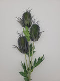 Eryngium spray, green/blue, faux