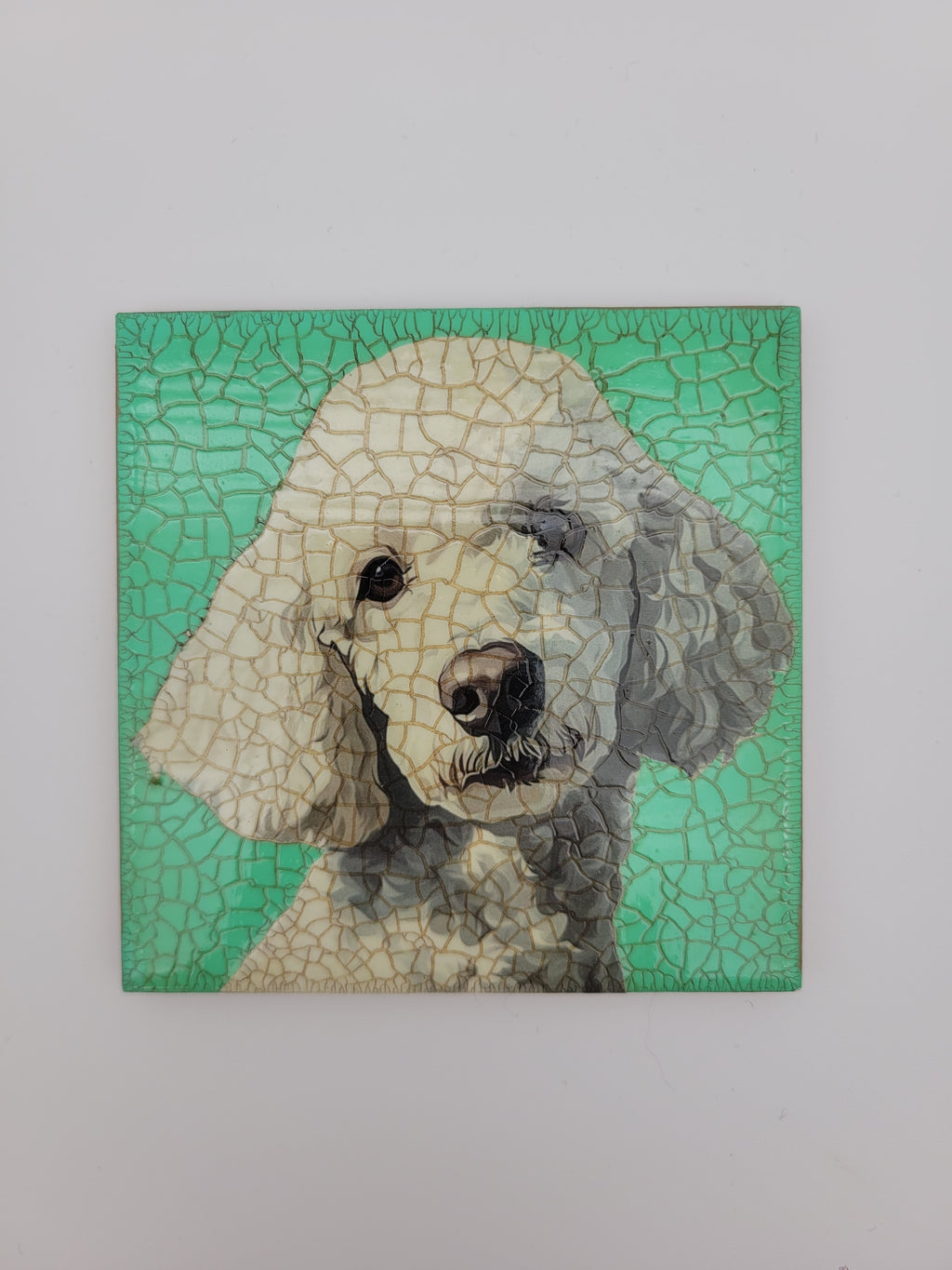 Decoupage tile - various designs