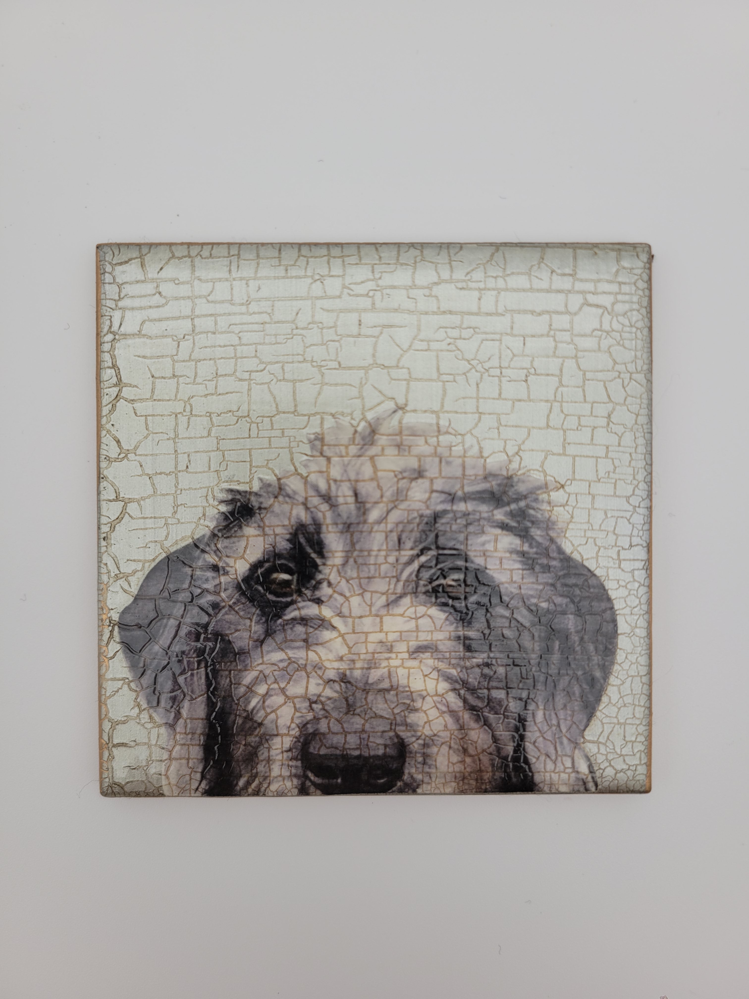 Decoupage tile - various designs