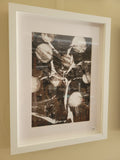 Original gel print 6