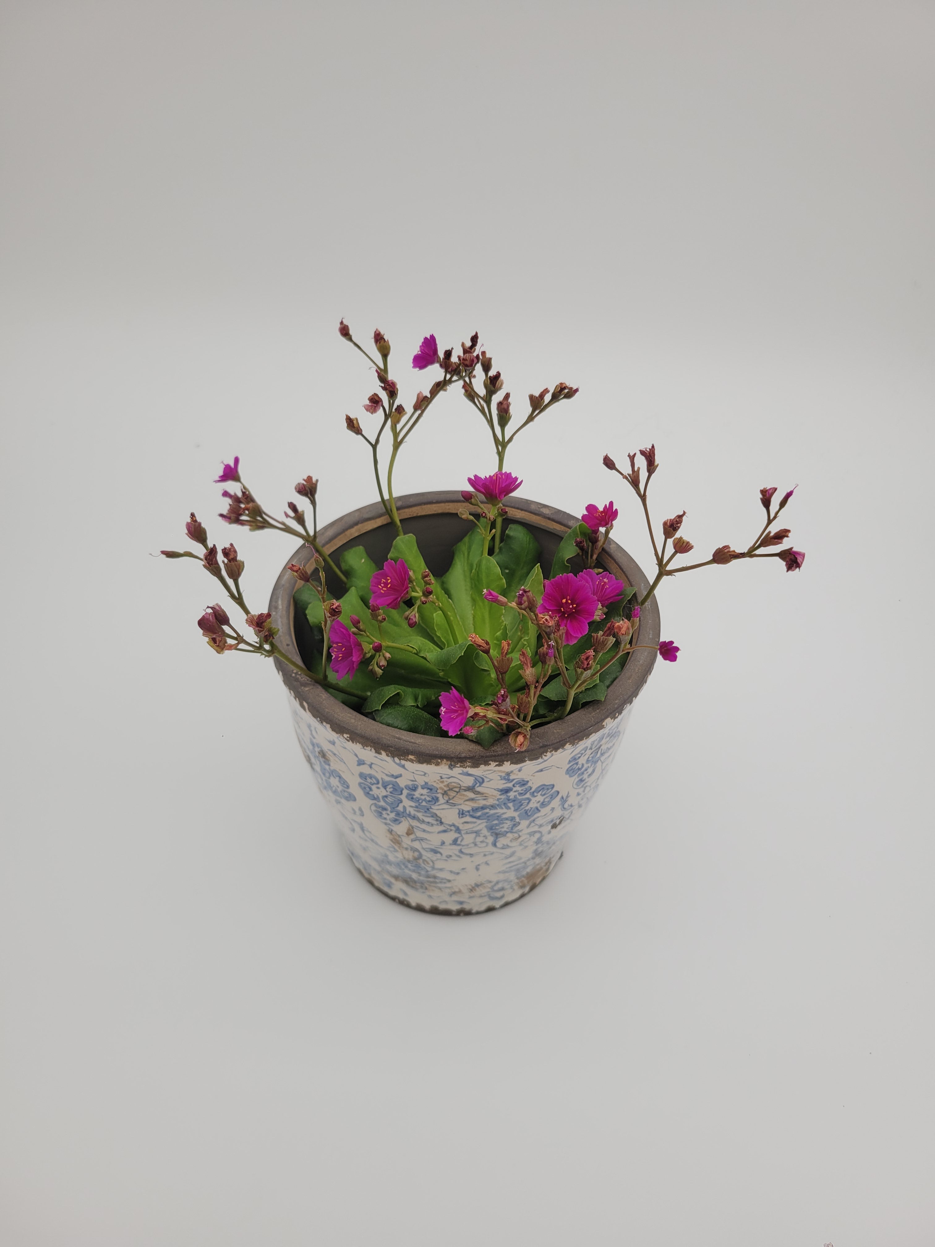 Plant pots with blue and white design, two sizes