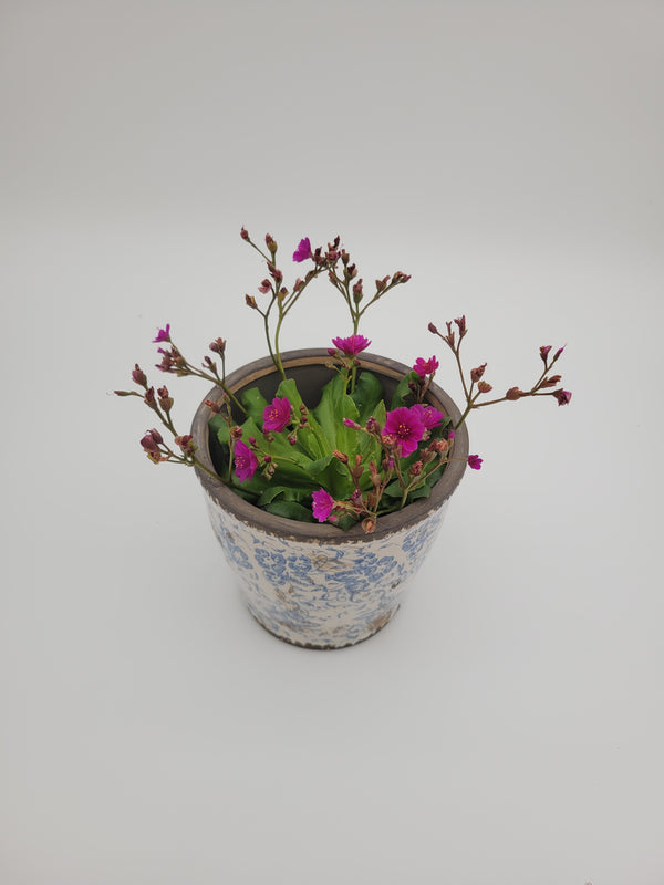 Plant pots with blue and white design, two sizes