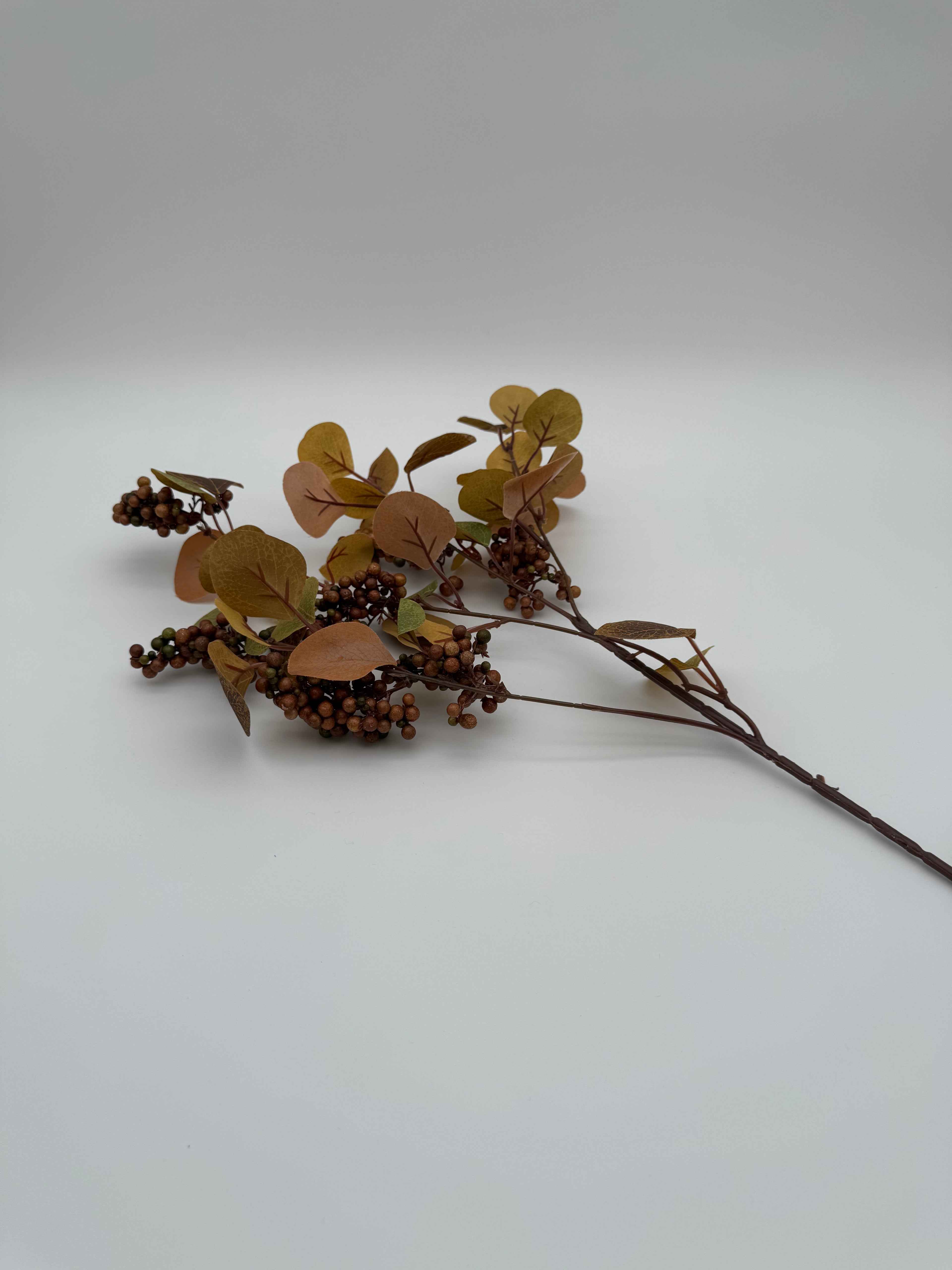 Russet autumn foliage spray