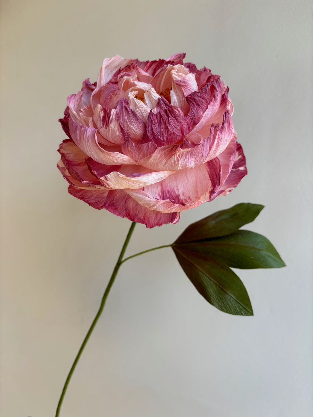 Beautiful Peony Workshop - Paper flower making with Rachel Southon on Friday September 18th 2026 at 10am.