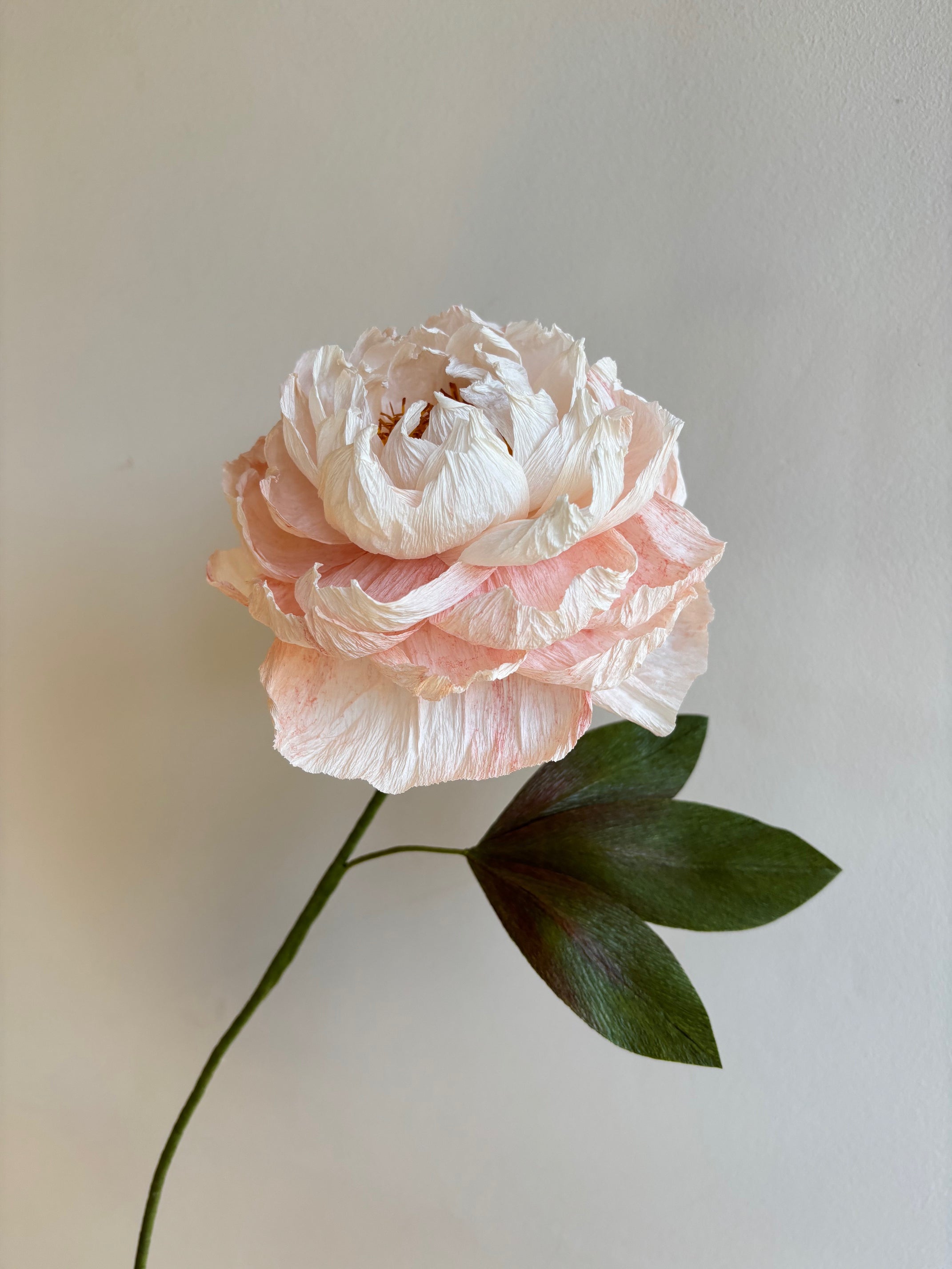 Beautiful Peony Workshop - Paper flower making with Rachel Southon on Friday September 18th 2026 at 10am.