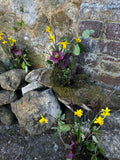 Gallery 20